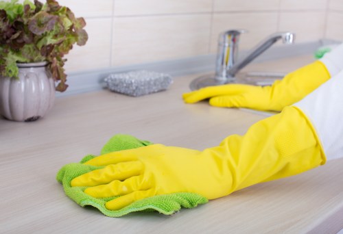 Eco-friendly oven cleaning solutions